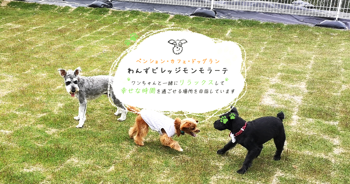 わんずビレッジモンモラーテの写真(兵庫県淡路市)